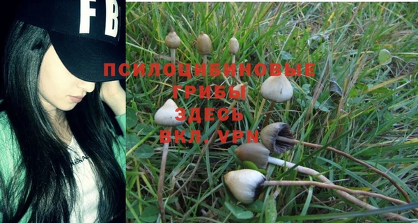 дмт Магадан