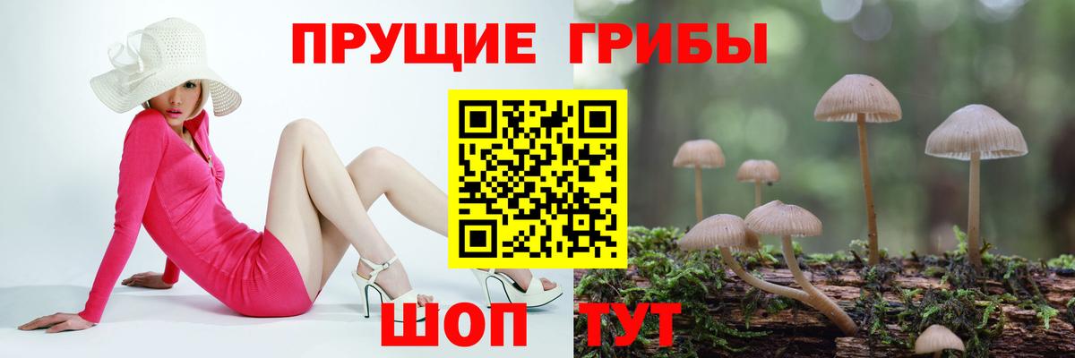 Галлюциногенные грибы GOLDEN TEACHER  где купить наркоту  Маркс 